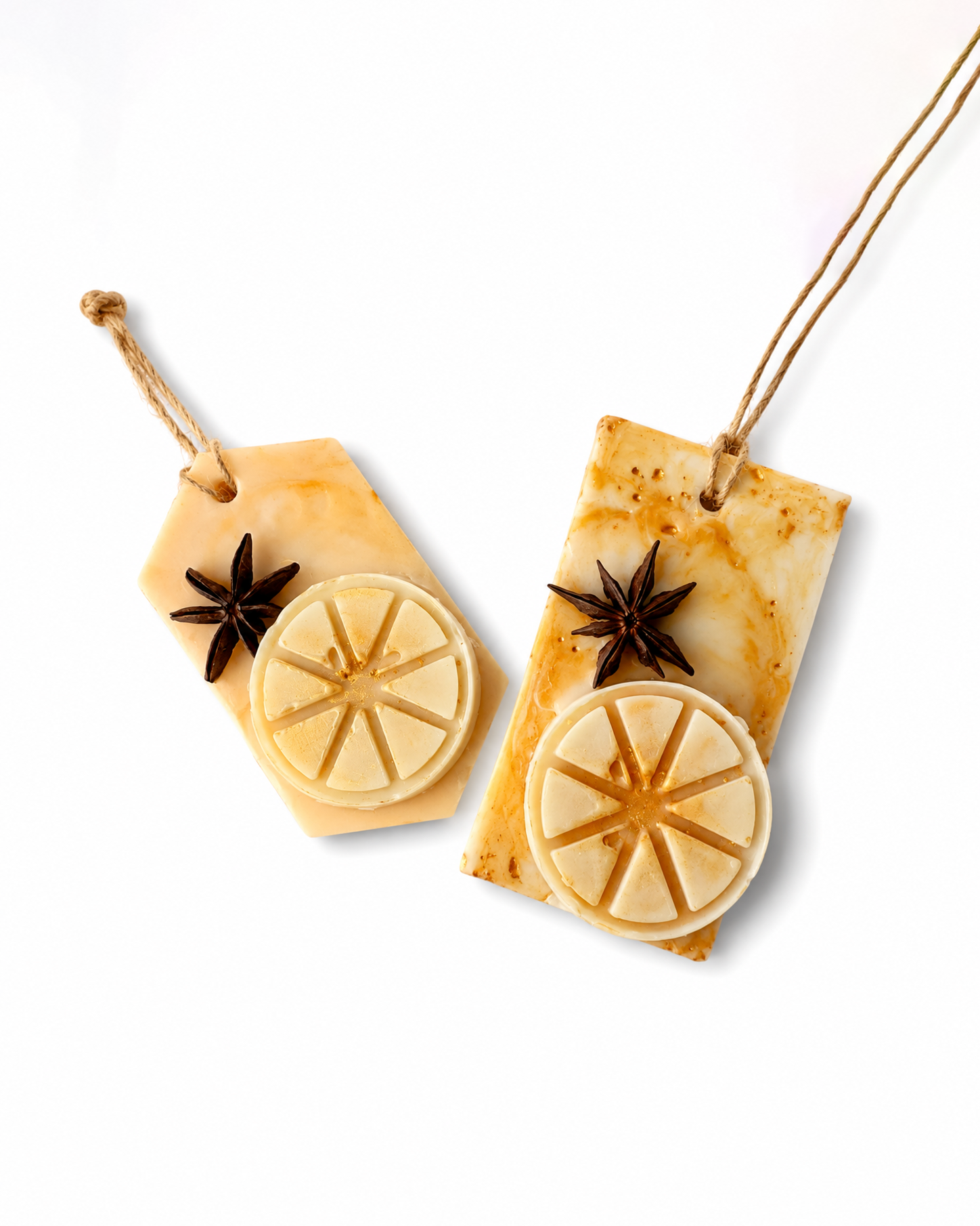 Rustic Citrus Wax Tags Set
